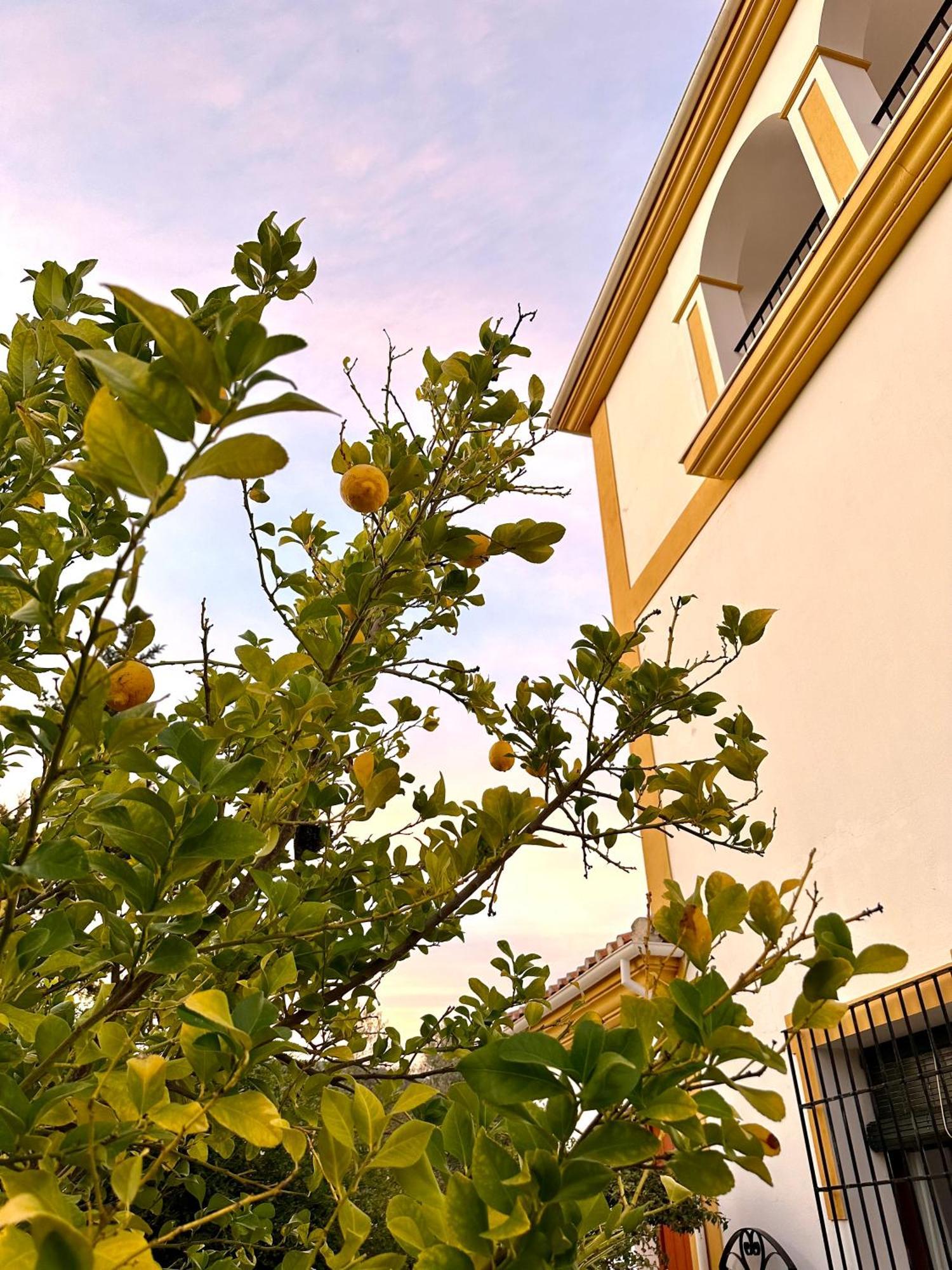 Hacienda El Tarajal Hotel ปรีเอโก เด กอร์โดบา ภายนอก รูปภาพ