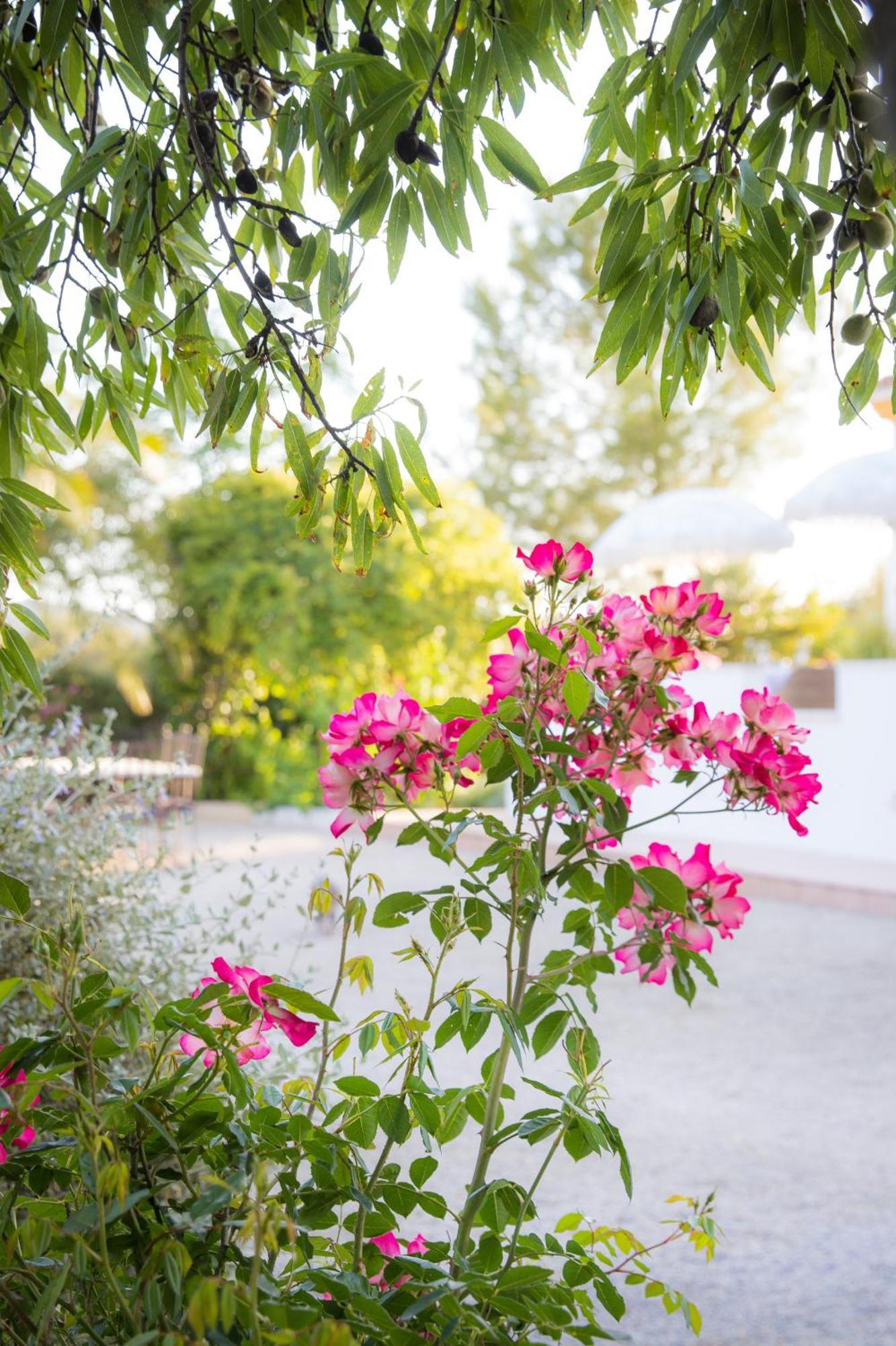 Hacienda El Tarajal Hotel ปรีเอโก เด กอร์โดบา ภายนอก รูปภาพ